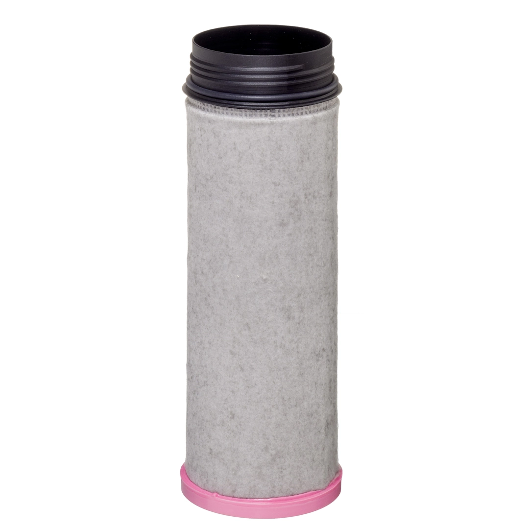 Secondary Air Filter